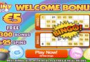 shiny bingo bonus