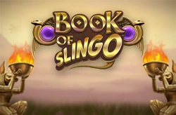 Book of Slingo bij Casino777.nl